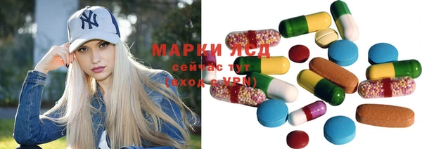 мет Алексин