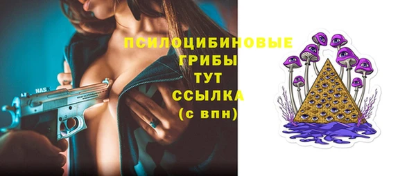 стафф Алзамай